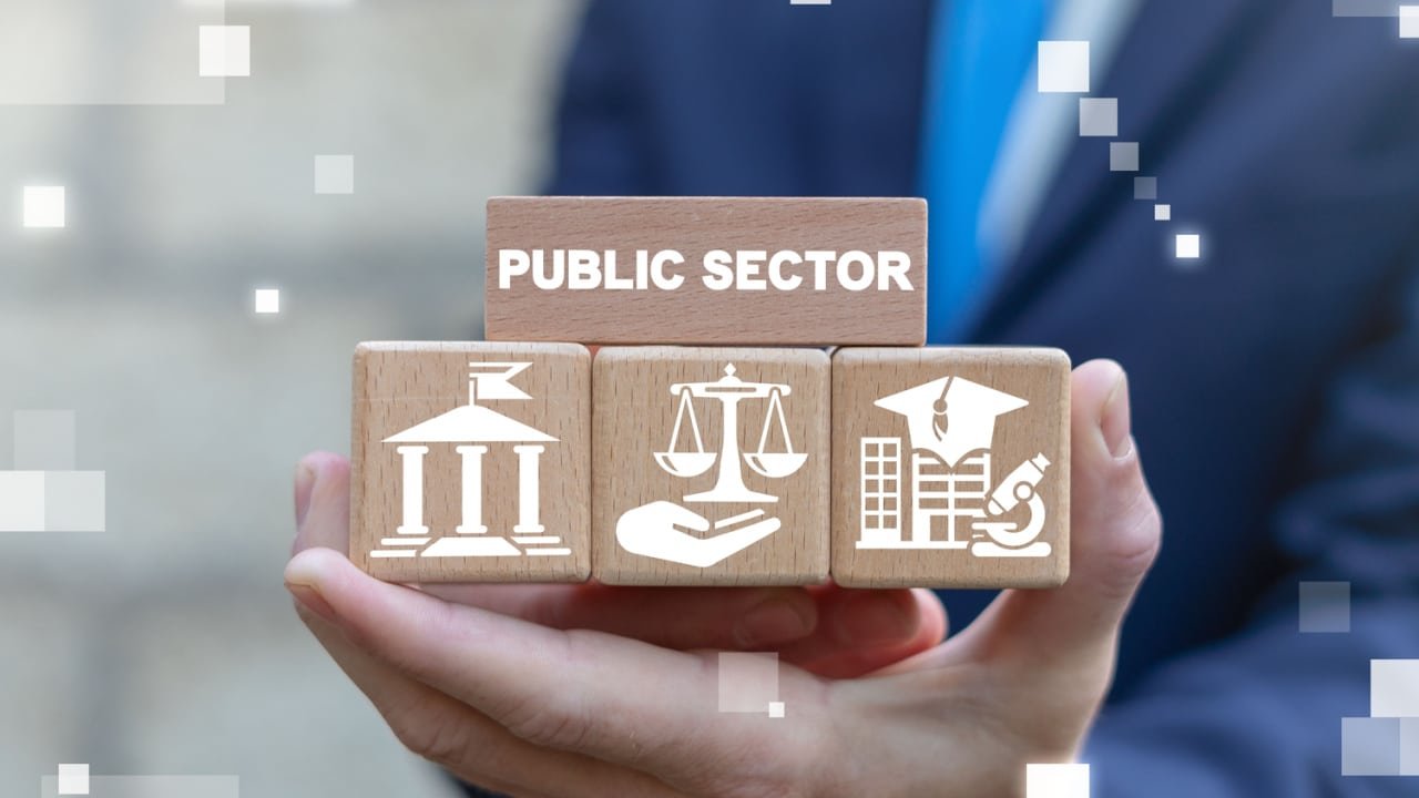 PUBLIC SECTOR